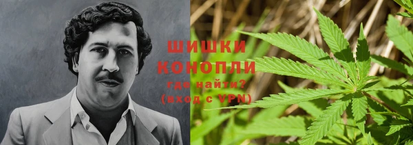 сатива Алзамай