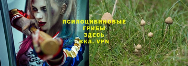 сатива Алзамай
