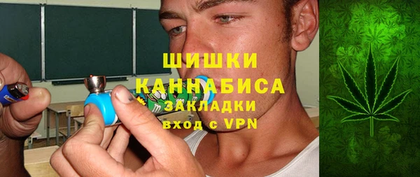 сатива Алзамай