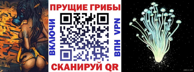 Псилоцибиновые грибы ЛСД Лермонтов